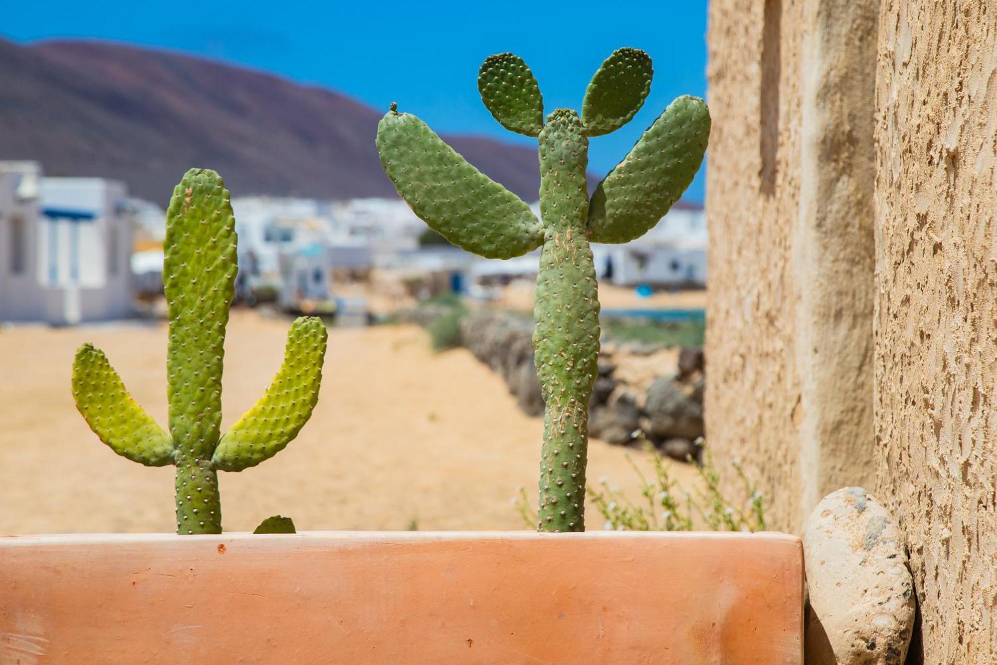 Eslanzarote La Duna House, Wifi, Sea Views Caleta de Sebo Eksteriør billede